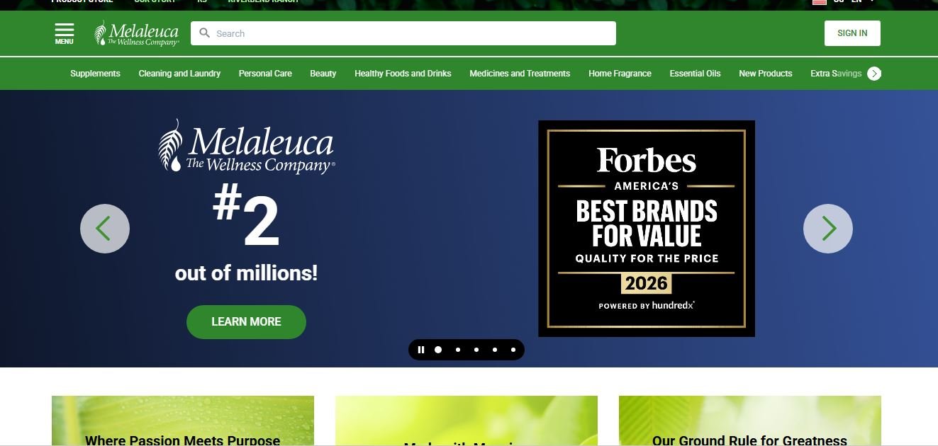Melaleuca